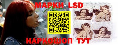 шишки Новокубанск
