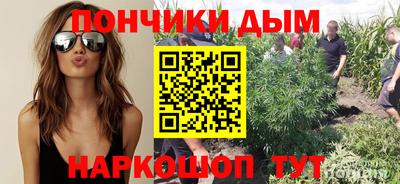 шишки Новокубанск