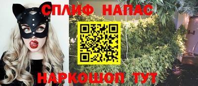 шишки Новокубанск