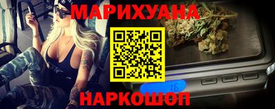 шишки Новокубанск