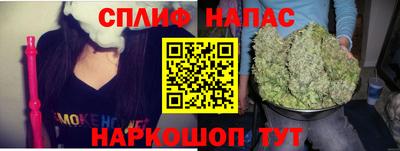 шишки Новокубанск