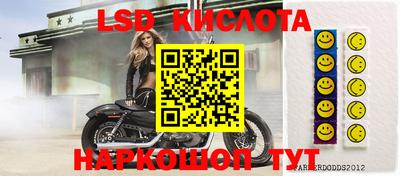 шишки Новокубанск